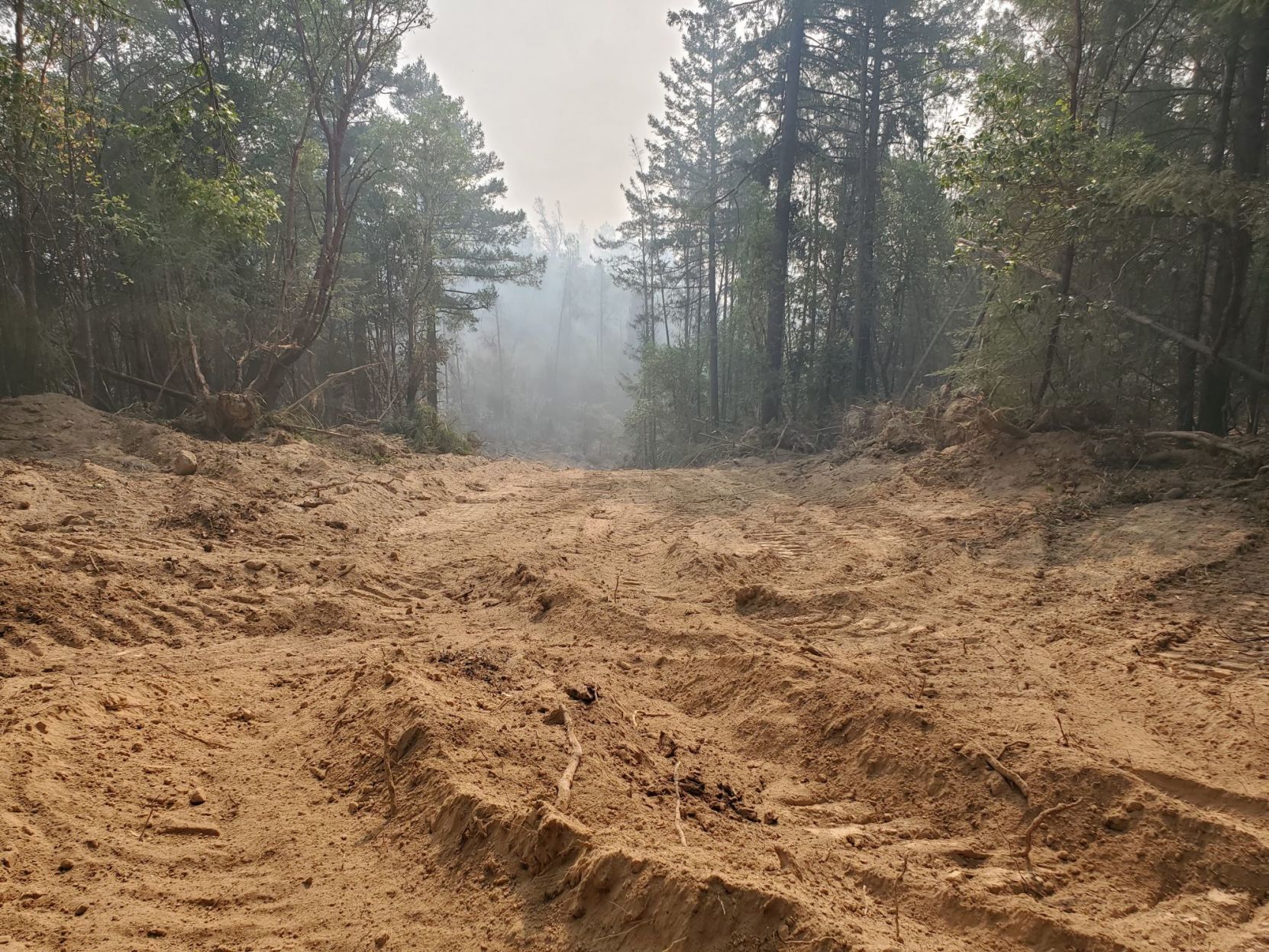 Firebreak